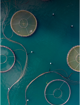 Fisheries
