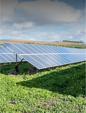 Renewable Energy